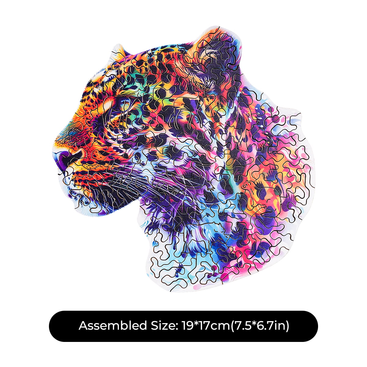 Assembled Robotime Fancy Leopard colorful wooden puzzle showing full leopard profile with assembled size 19 by 17 centimeters labeled below