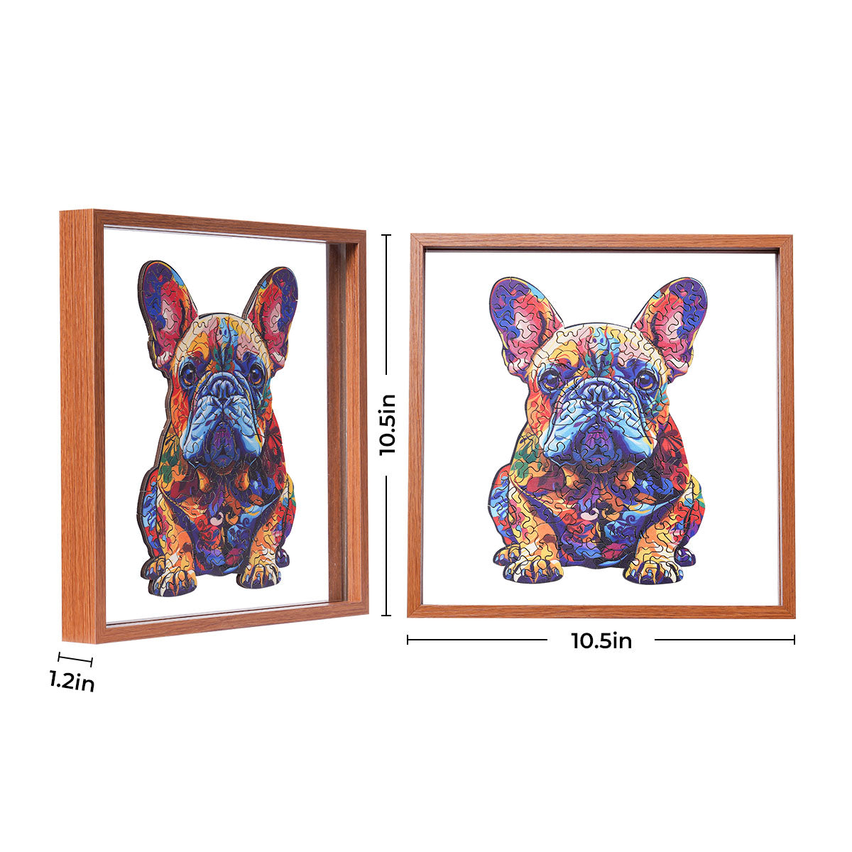 Rowood French Bulldog wooden jigsaw puzzle displayed in a 10.5 by 10.5 inch shadow box frame showing front and side profile views with dimensions