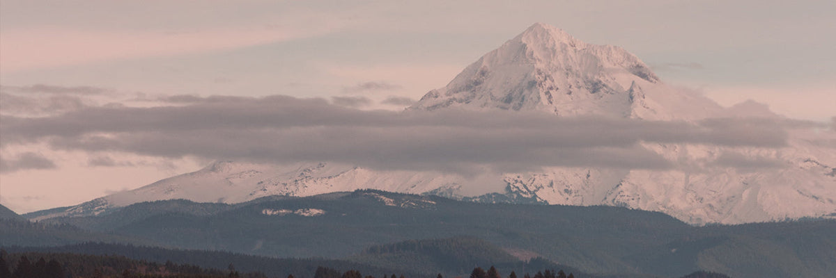 Snow-capped mountain peak at dusk with pink clouds and layered forested ridgelines in a panoramic landscape