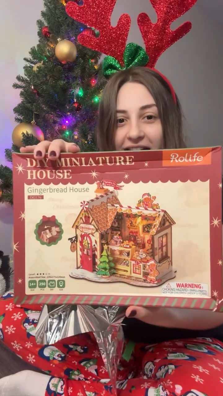 Rolife Gingerbread House DIY Miniature House DG176 variant e98