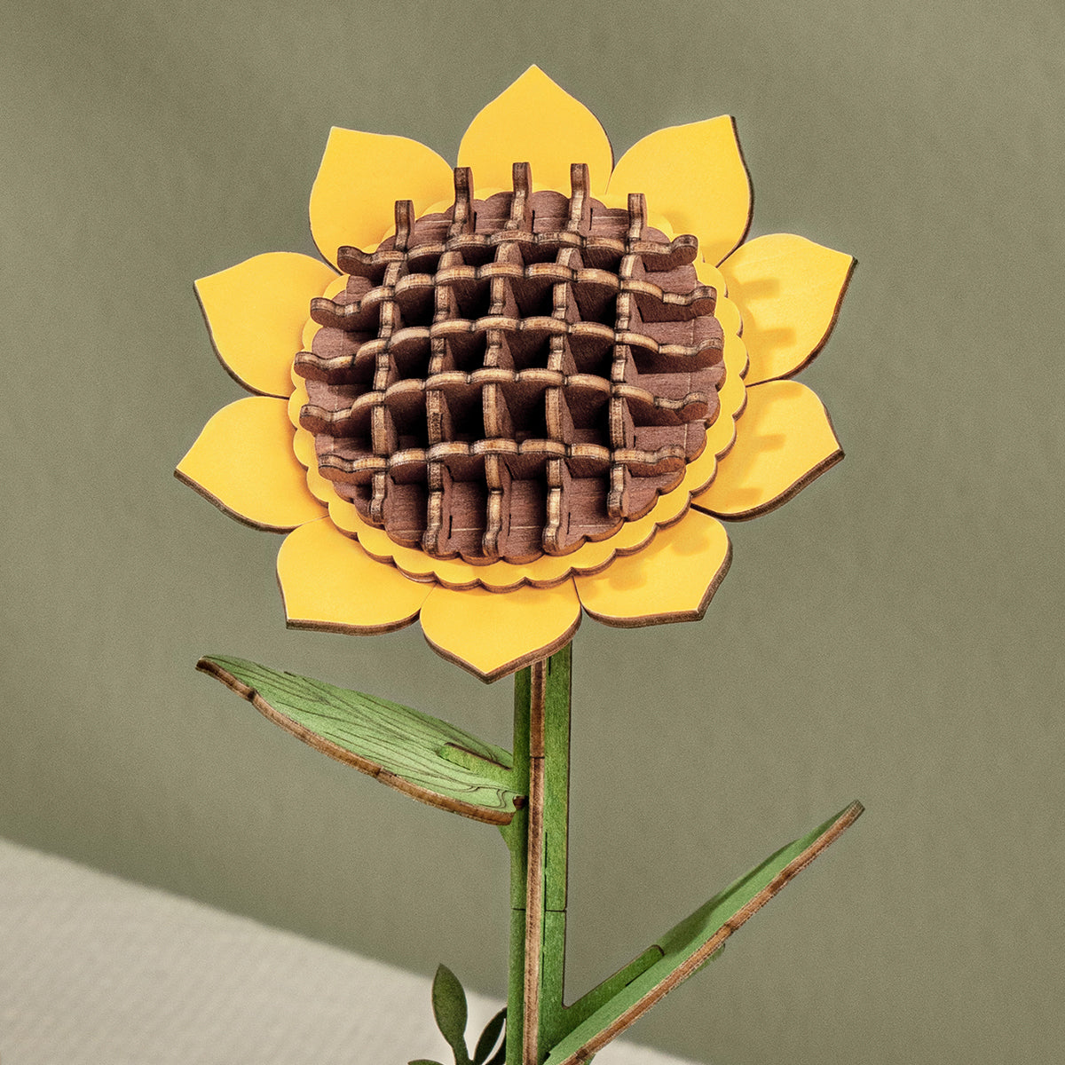 Sonnenblume