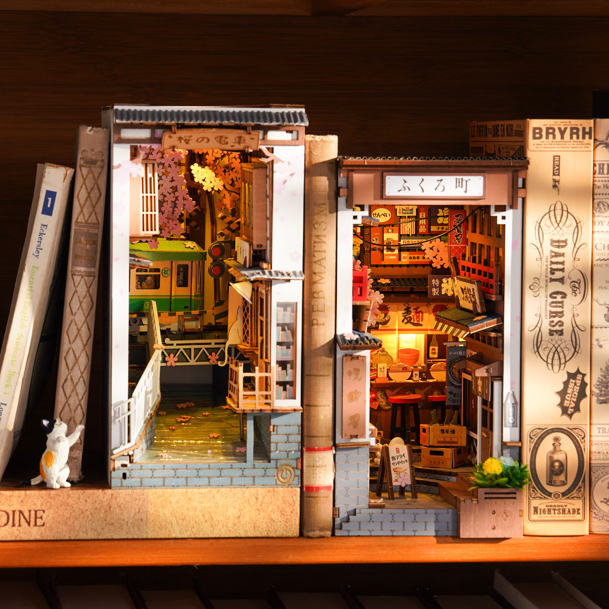 Schöne Bücherregaleinsätze