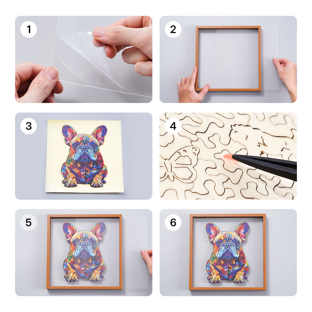 Six step assembly guide for the Rowood French Bulldog wooden jigsaw puzzle showing peeling adhesive, inserting the frame and sealing the acrylic cover
