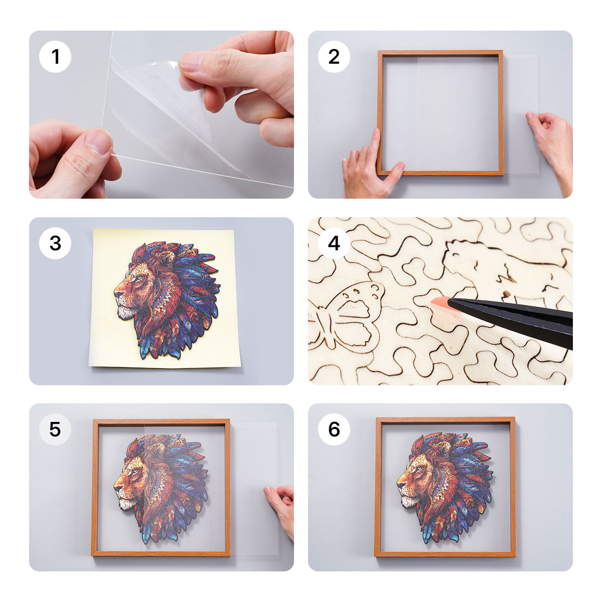Six step assembly guide for the Rowood Lion King wooden jigsaw puzzle showing peeling adhesive, inserting the frame and sealing the acrylic cover